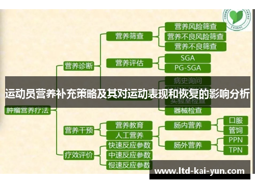 运动员营养补充策略及其对运动表现和恢复的影响分析