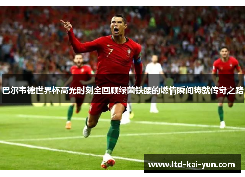 巴尔韦德世界杯高光时刻全回顾绿茵铁腰的燃情瞬间铸就传奇之路